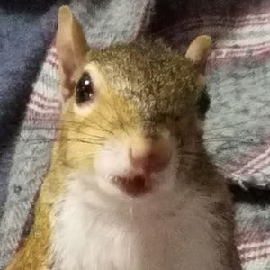 Meet your Posher, Sage